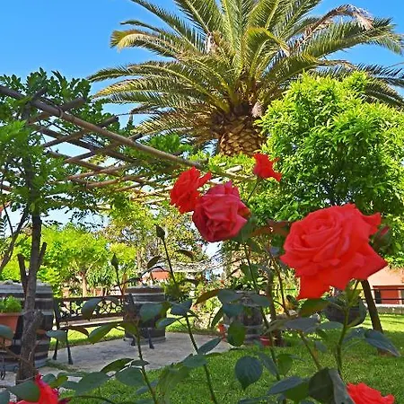 Ξενοδοχείο με διαμερίσματα Othonas 4*