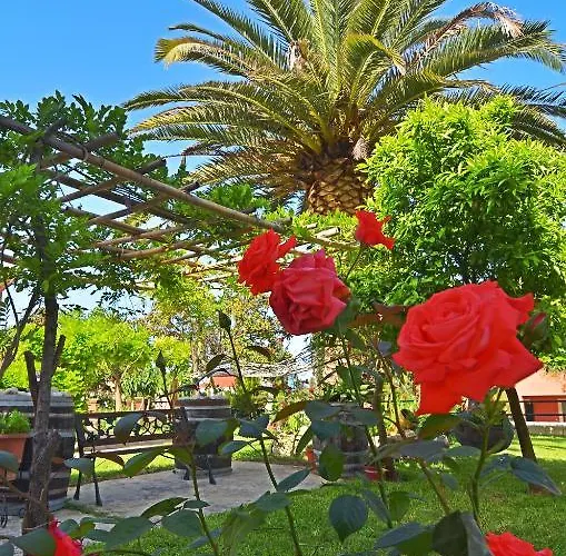 شقة فندقية Othonas 4*